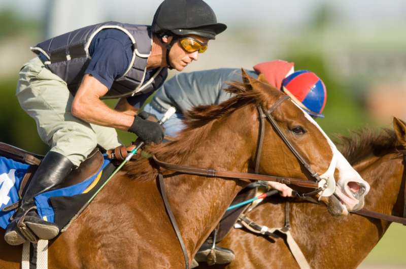 Airway disease in racehorses more prevalent than previously thought, U of G study finds