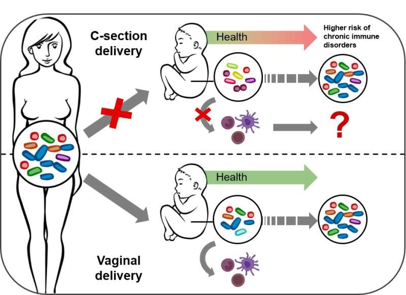Altered microbiome after caesarean section impacts baby's immune system