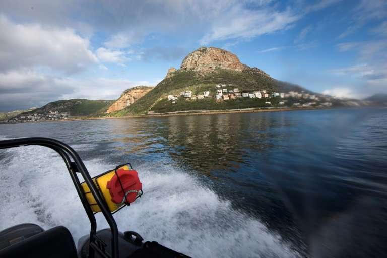 A Marine Law Enforcement officer working for the city of Cape Town patrols False Bay, near Simon's Town, looking for poachers of