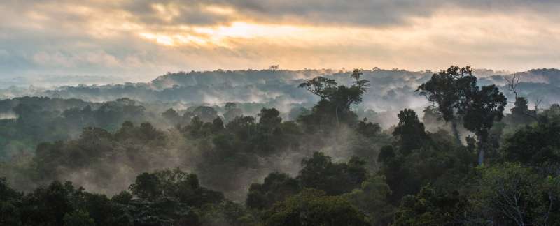 Amazon biodiversity hotspot to suffer even more losses after contentious law passed
