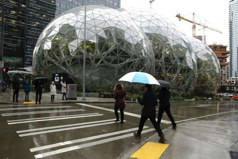 Amazon's &quot;The Spheres&quot; house more than 40,000 plants and include features such as treehouse meeting rooms, a river and