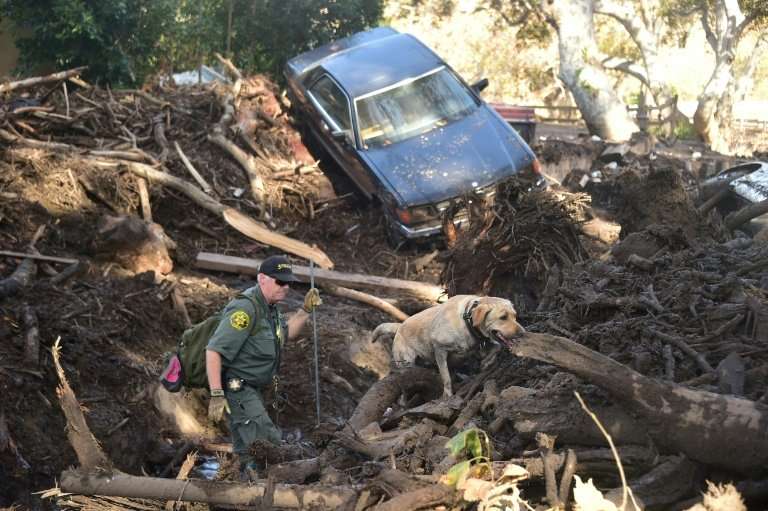 A member of a search and rescue team and his dog look for victims in Montecito, California, which was hit by mudslides that left