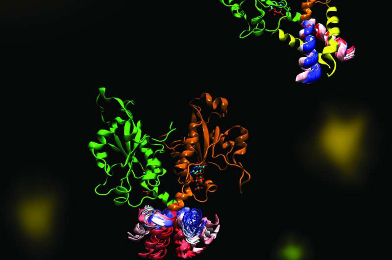 A molecular dance of phospholipid synthesis