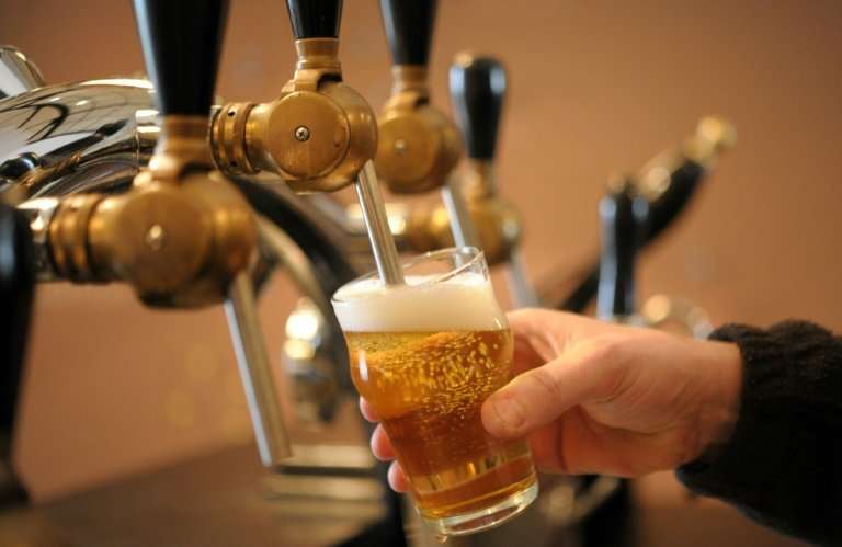 A more sustainable pint of craft beer possibly coming to a pub near you