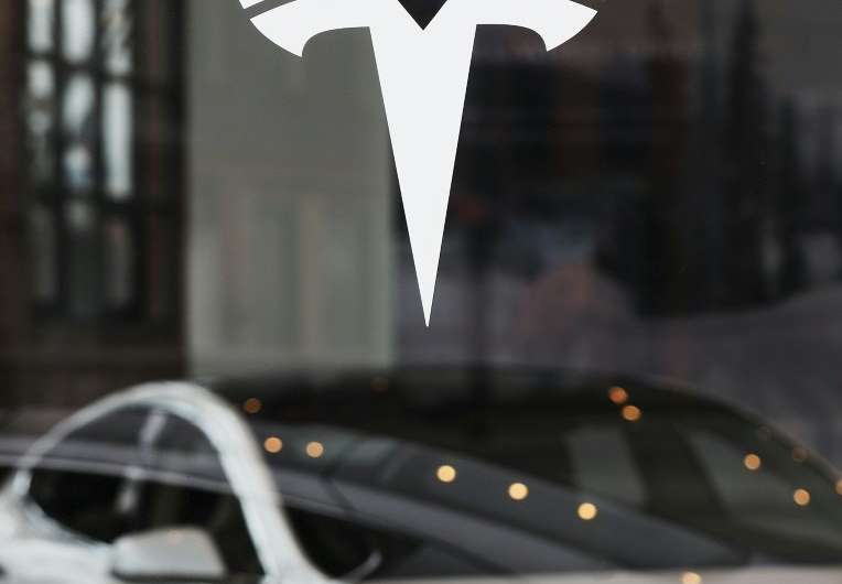 Analysts are divided on how vital the visionary Musk is to Tesla's continued development