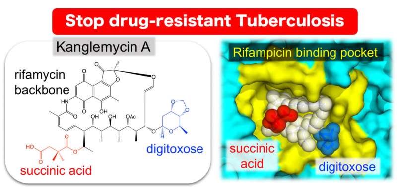 A naturally occurring antibiotic active against drug-resistant tuberculosis