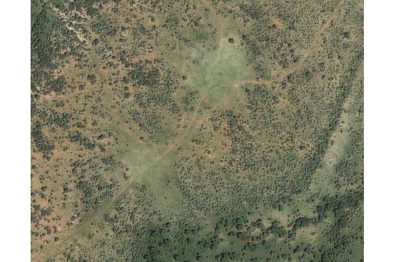Ancient livestock dung heaps are now African wildlife hotspots