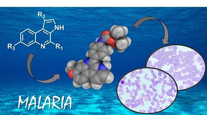 A new, highly effective and selective molecule is developed to fight malaria