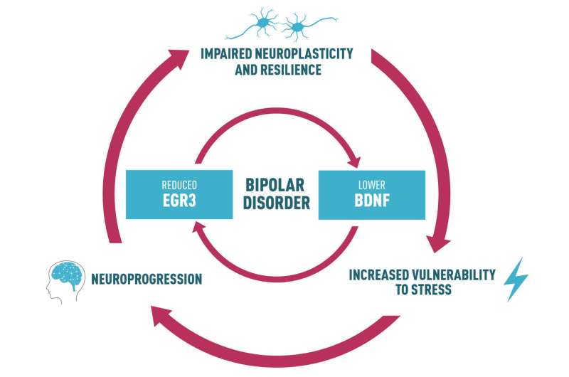 A new path into bipolar disorder comes to light