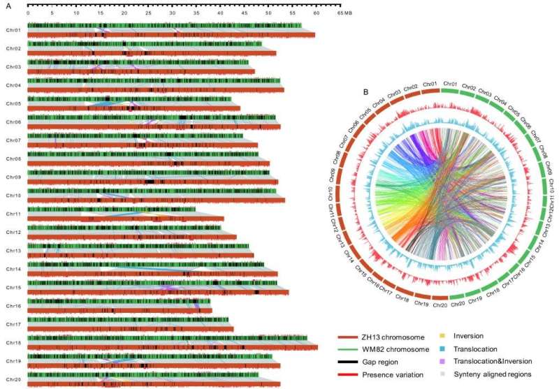 A new released Chinese soybean genome facilitates soybean elite cultivar improvement