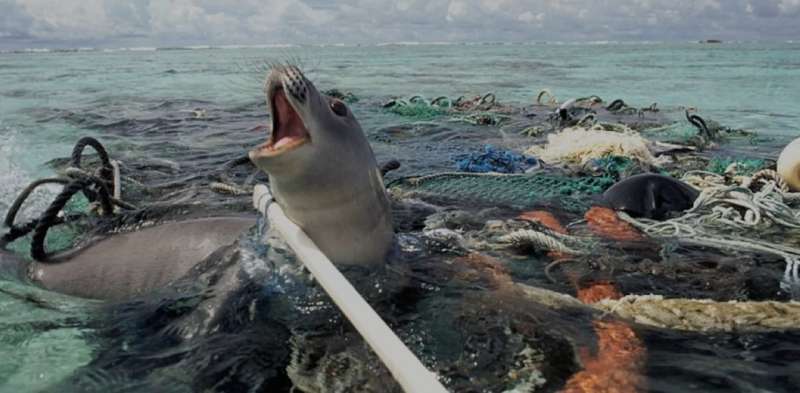 An international plastics treaty could avert a "Silent Spring" for the seas