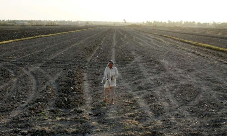 An Iraqi man stands on a dry field in an area affected by drought in the Mishkhab region, central Iraq, some 25 kilometres from 