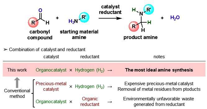 Approaching an ideal amino acid synthesis using hydrogen