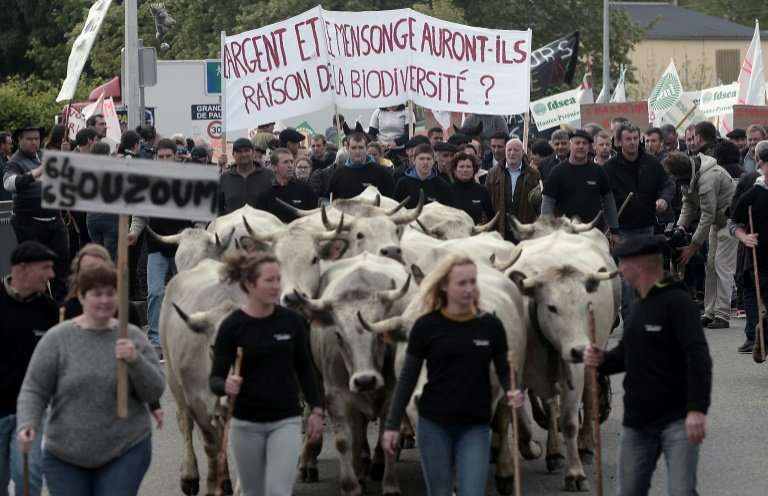 A protest by livestock breeders in Pau, southern France, in April against the government's plan to introduce two new bears into 