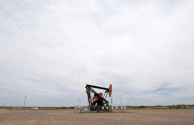 A pumpjack belonging to Argentinian oil company YPF is seen in Vaca Muerta Shale oil reservoir, in the Patagonian province of Ne