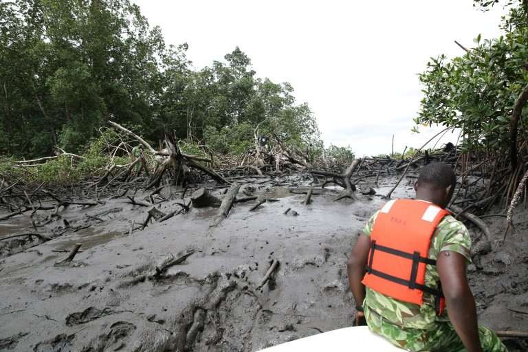 A ranger sits on a boat where mangroves once flourished, before cleared away for the rapid expansion of Gabon's capital Librevil