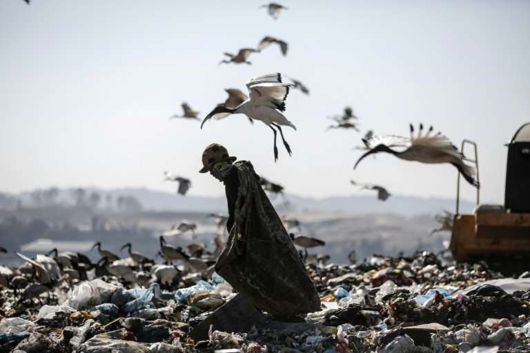 A reclaimer wades through the waste at Robinson Deep landfill, Johannesburg's largest landfill on June 29, 2018.