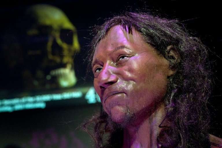 A reconstruction model from the skull of 'Cheddar Man' after DNA analysis of the 10,000-year-old skeleton shows early Britons ha