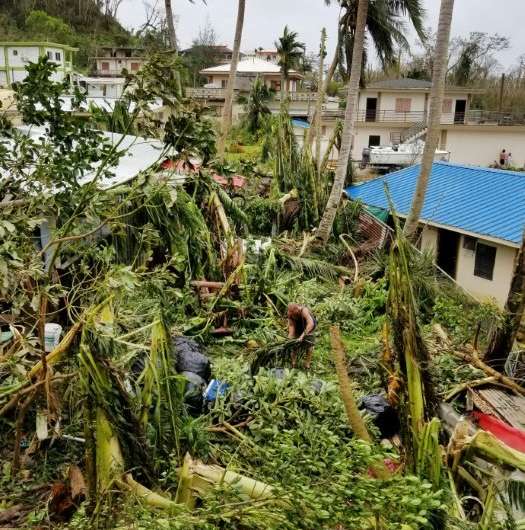 A resident (C) clearing up in Saipan after Super Typhoon Yutu caused widespread destruction across the US Pacific territory isla