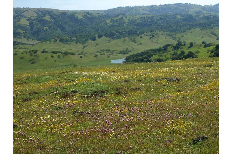As climate and land-use change accelerate, so must efforts to preserve California's plants
