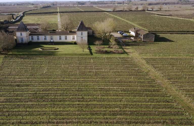 A spring frost forced Chateau Climens, near Barsac in Bordeaux, to lose a 2017 vintage—the first time it has done so for its Gra