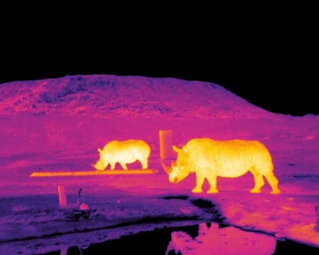 Astro-ecology: Saving endangered animals with software for the stars