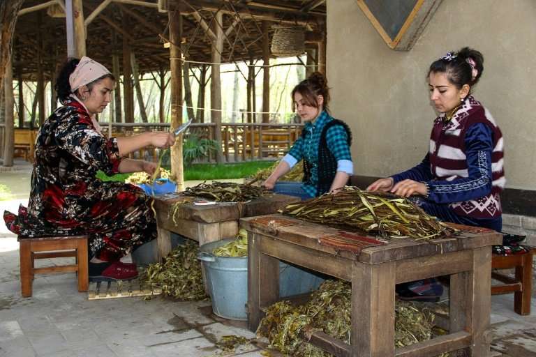 At Zarif Mukhtarov's paper mill in the village of Koni Ghil, outside Samarkand, paper comes from the branches of young mulberry 