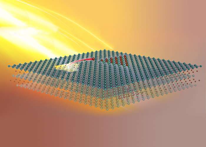 Autocannibalistic materials feed on themselves to grow new nanostructures