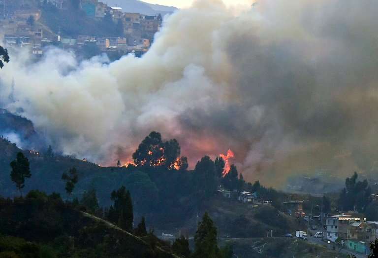A view of a forest fire in Bogota underscores the dangers posed by land degradation