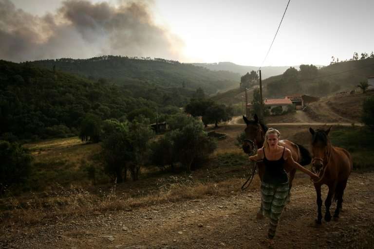 A woman pulls two horses as smoke columns rise from a wildfire raging in Alvega, Portugal