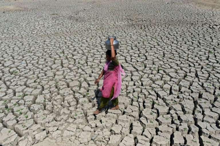 A woman searching for water walks on the parched bed of Chandola Lake, near the Indian city of Ahmedabad. A severe drought struc