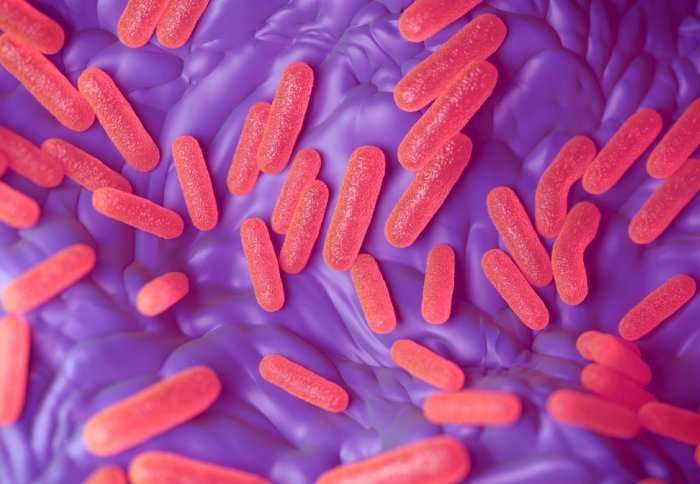 Bacterial ‘sleeper cells’ evade antibiotics and weaken defence against infection