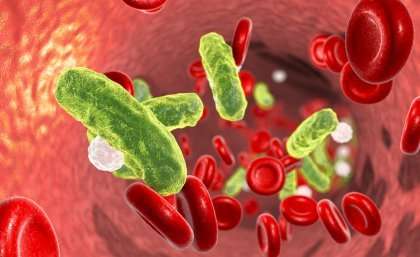 'Bad' antibodies let blood infections rage