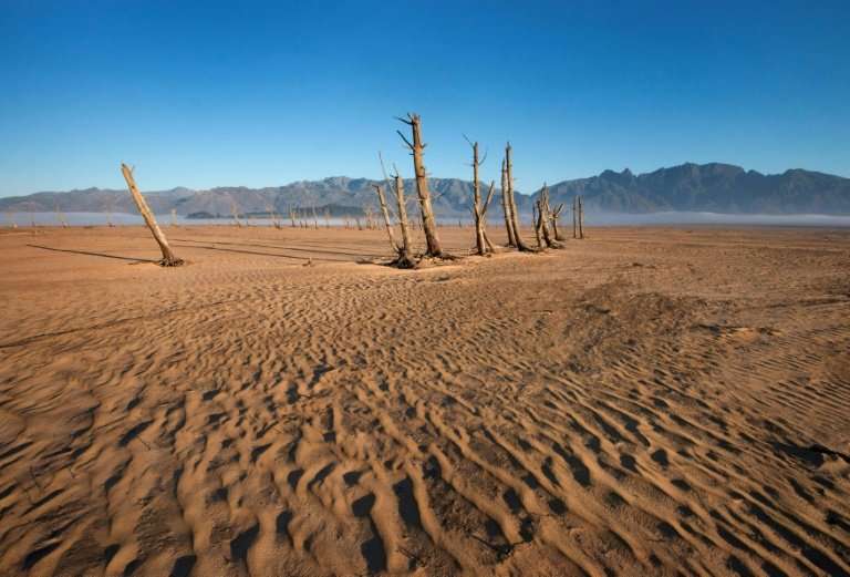 Bare sand and dried tree trunks stand out at Theewaterskloof Dam, which is now only 12.5 percent full