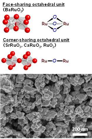 Barium ruthenate: A high-yield, easy-to-handle perovskite catalyst for the oxidation of sulfides