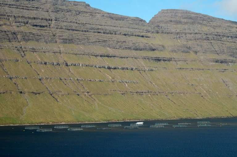 Before a recent diversification, the labour market in the Faroe Islands was traditionally heavily focused on fishing