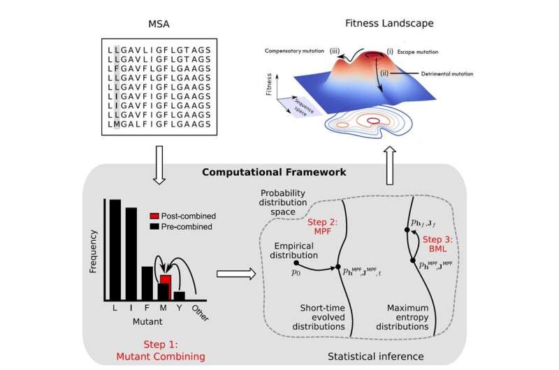 Big data methods learn the fitness landscape of the HIV Envelope protein