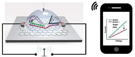 Biosensor chip detects single nucleotide polymorphism wirelessly, with higher sensitivity