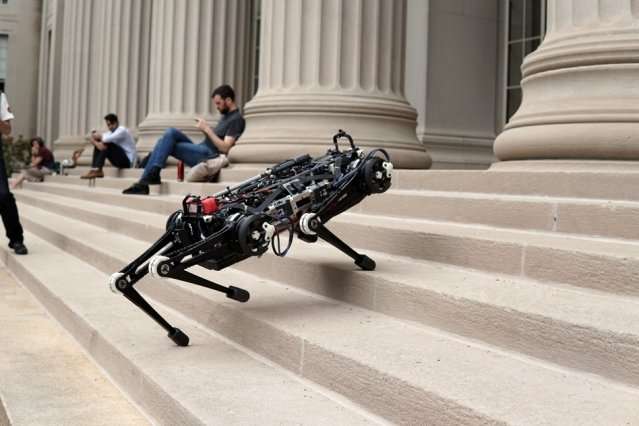 “Blind” Cheetah 3 robot can climb stairs littered with obstacles