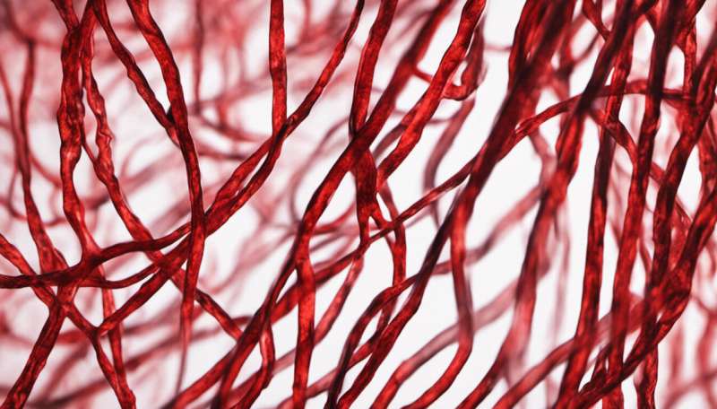 Blood in your veins is not blue – here's why it's always red