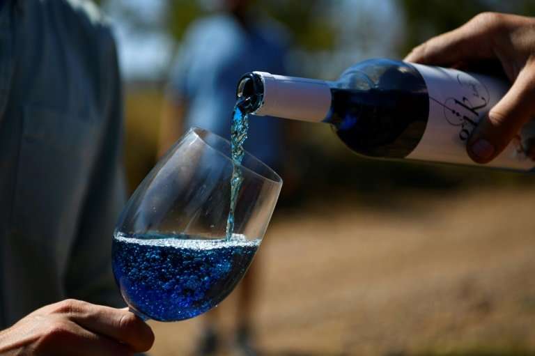 Blue wine? Nearly half a million bottles were sold last year by Gik Live! a Spanish startup set up by a group of university stud