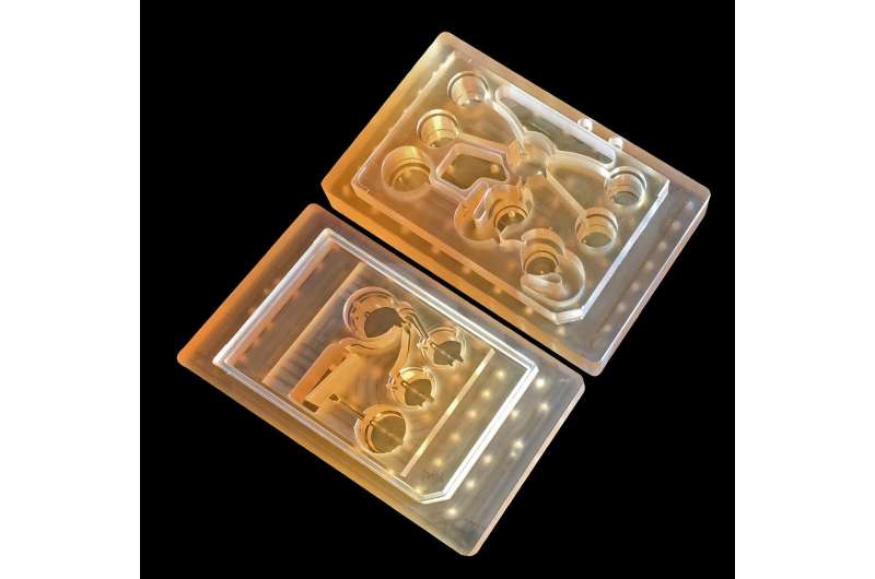 'Body on a chip' could improve drug evaluation