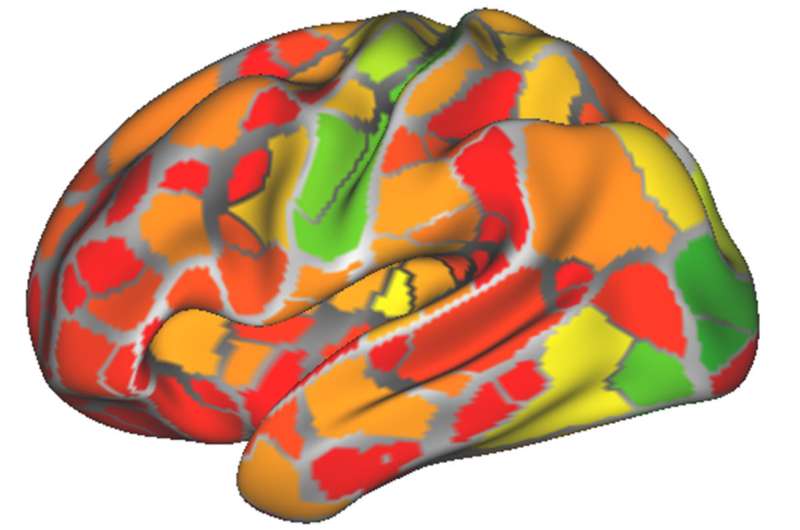 Brain scans may help diagnose neurological, psychiatric disorders