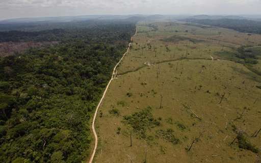 Brazil court largely upholds law that some fear hurts Amazon