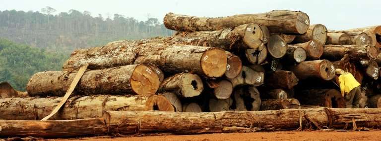 Brazil said the rate of deforestation in the Amazon fell by 16% between August 2016 and July 2017, compared to the same period 1
