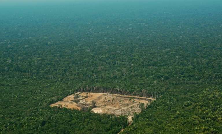 Brazil says 6,624 square kilometers (2,557 square miles) of Amazon rainforest was destroyed in 2017