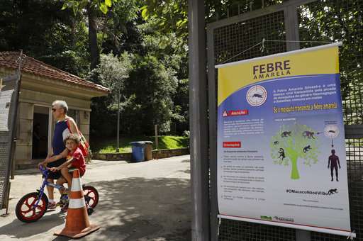 Brazil to vaccinate 23.8 million people against yellow fever