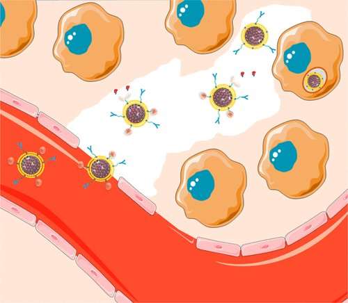 Bridging tumor moats with potent drug delivery particles