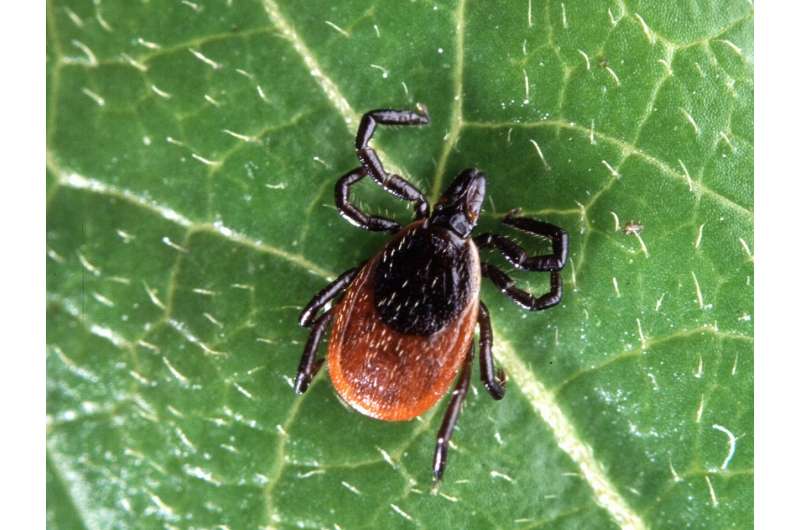 Bug-borne disease monitoring project finds deer ticks on the rise in Midwest
