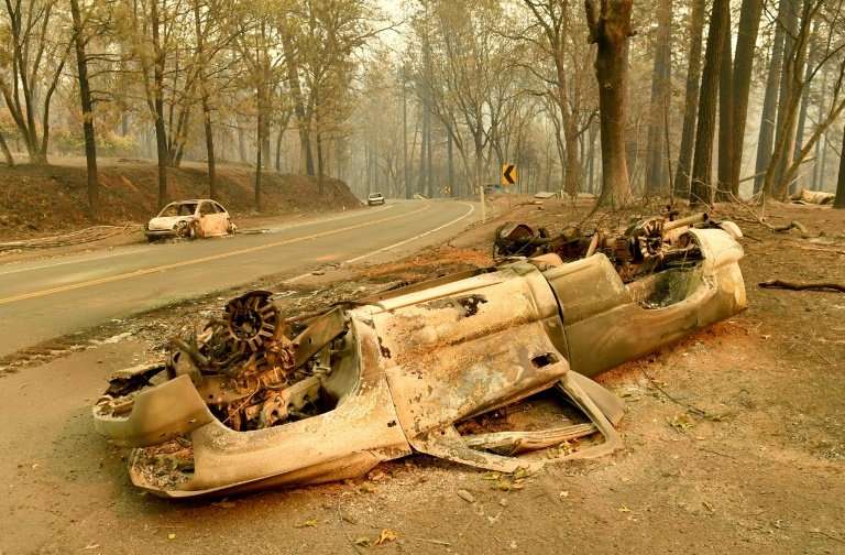 Burned cars litter a road in Paradise, California—most of the town looks like this, but Brad Weldon was lucky